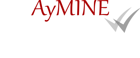 AyMINE - modulární SW pro buseiness bez starostí. Denně zpracovává statisícové obraty.