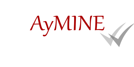 AyMINE - modular SW for worry-free business